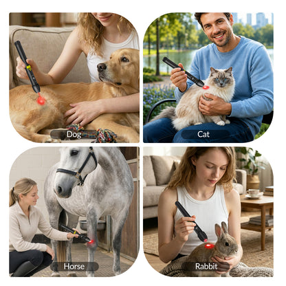 500mW 808nm Cold Laser Therapy Pen for Human and Pet Pain